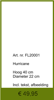 € 49,95              	Art. nr. FL20001  Hurricane  Hoog 40 cm Diameter 22 cm  Incl. tekst, afbeelding